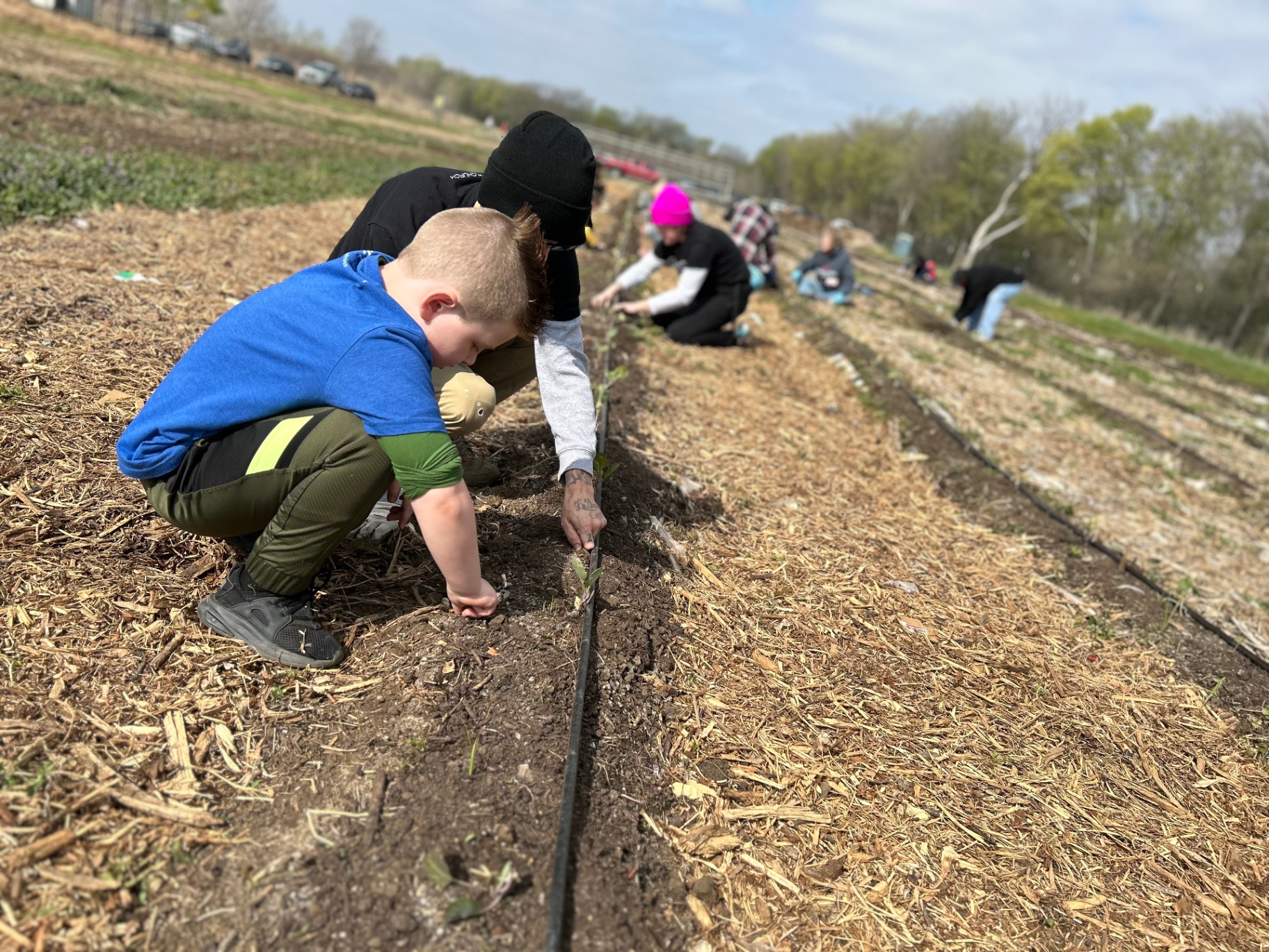 Hands In The Dirt