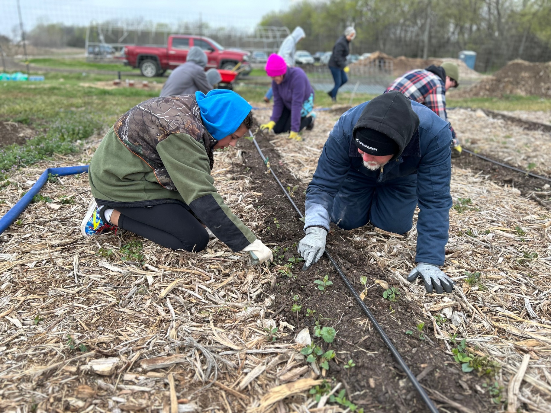 Community Planting Day