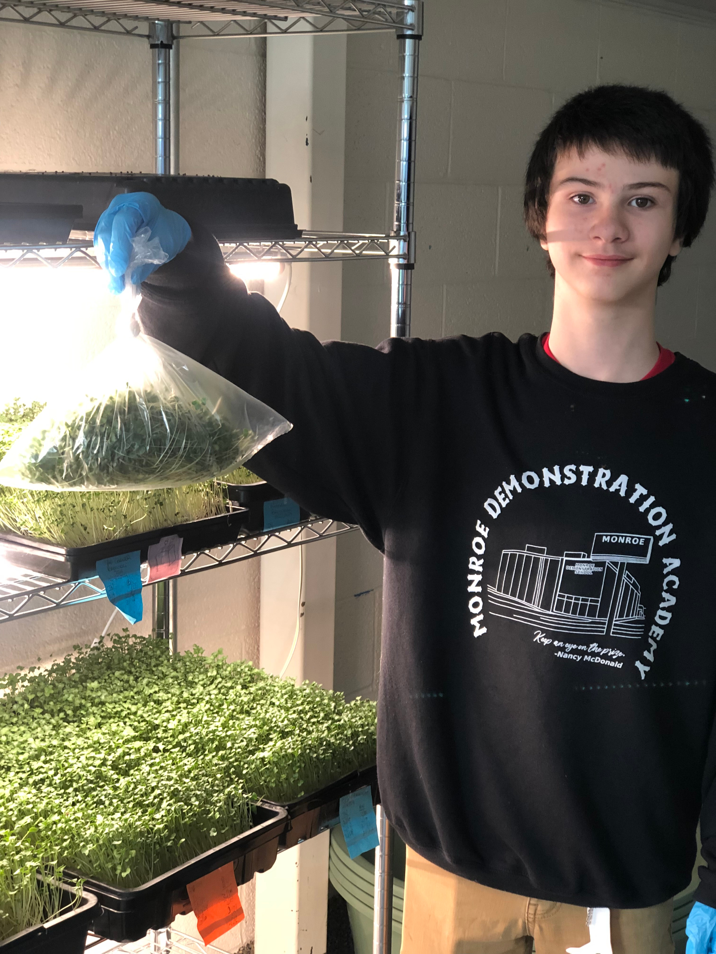 Harvest Day